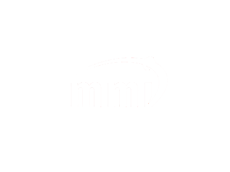 Protected: MMI – Maritime & Mercantile International LLC