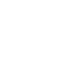 Octopi